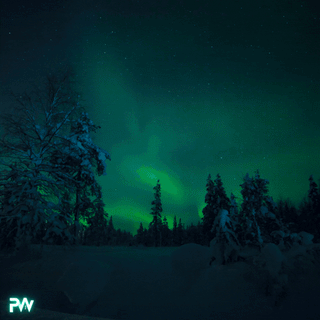 Animated northern lights over a snowy forest with the glowing PW logo — representing Pivotal Workout's Lifetime Badge for lifelong strength and transformation.