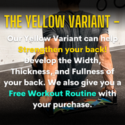 PW | Pivotal Push Up Board - Pivotalworkout.com