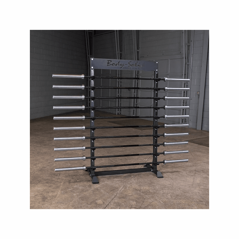 Body Solid Pro Clubline Horizontal Bar Rack - SBS100