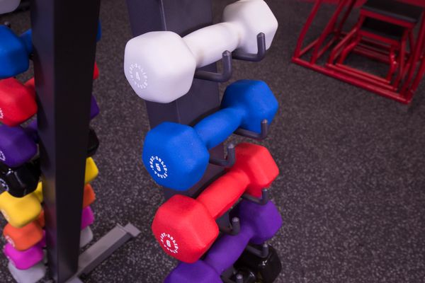 Body Solid Vinyl Dumbbell Set - GDR24-VPACK